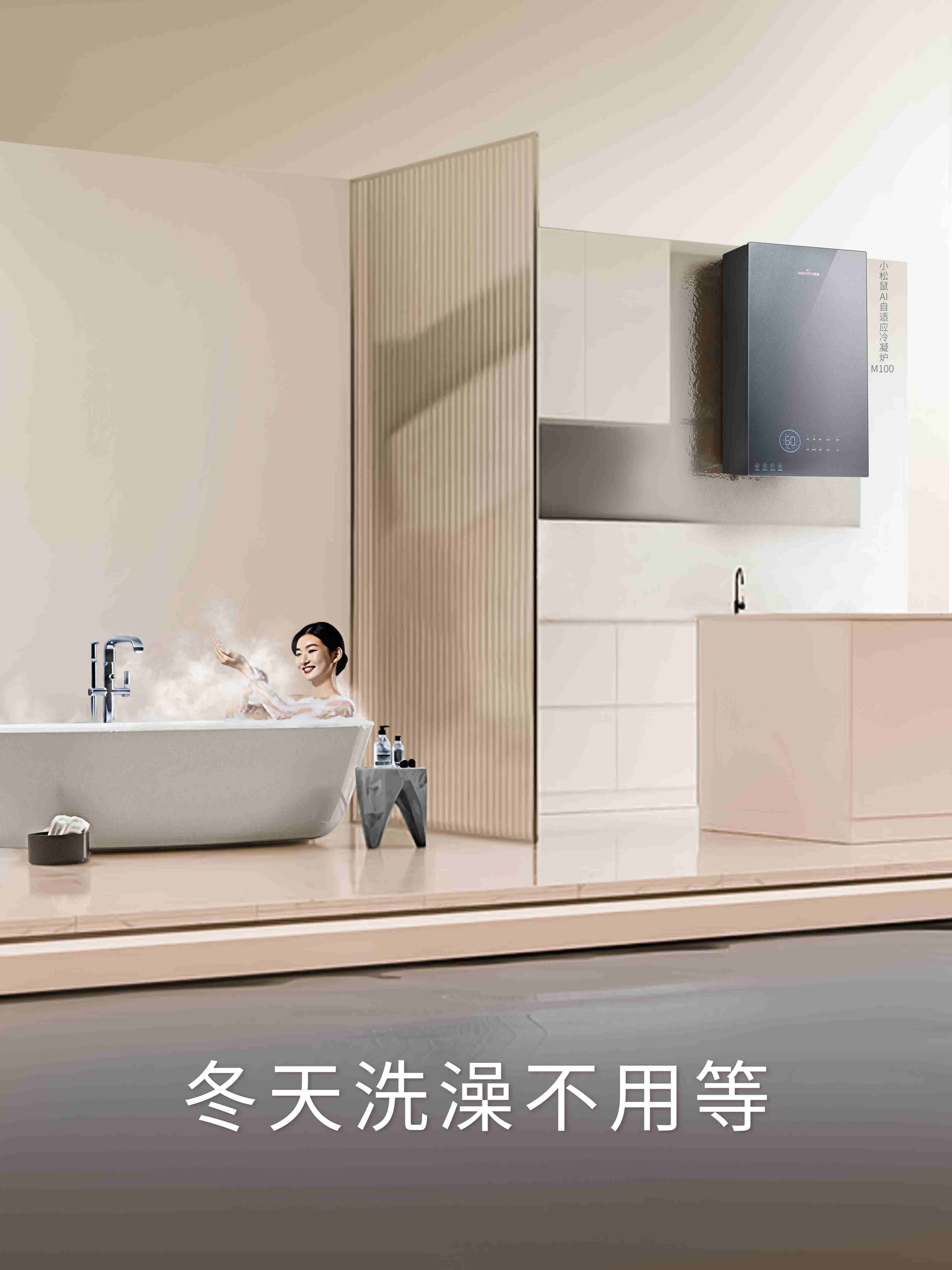 燃气壁挂炉